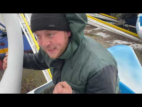 Видео: Лебеди