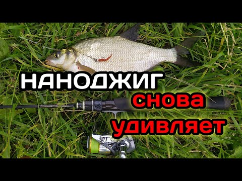 Видео: Вот за ЭТО мне и нравится ловить на НАНОДЖИГ. Подлещик и окуни клюют как из пулемета.