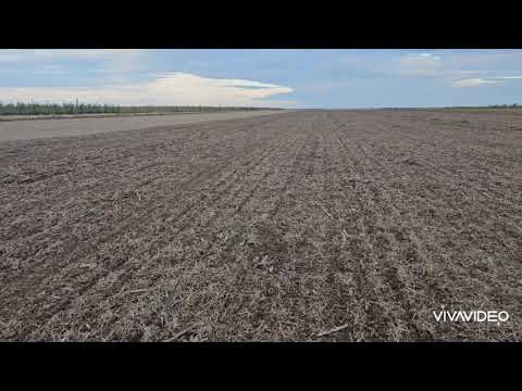 Видео: Посев оз.ячменя. No-till 18.10.2025