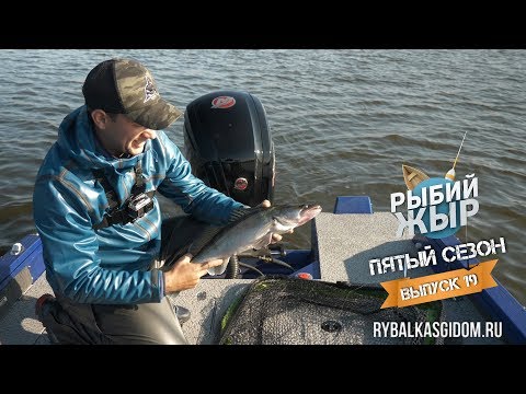 Видео: Рыбалка на Оке. Осень 2018. Рыбий жЫр 5 сезон выпуск 19