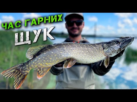 Видео: ✅НАРЕШТІ! ЗЛІ КИЇВСЬКІ ЩУКИ! РИБАЛКА НА ДНІПРІ✅