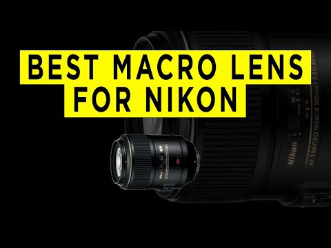Видео: Лучший макрообъектив для Nikon — Photography PX — 2022