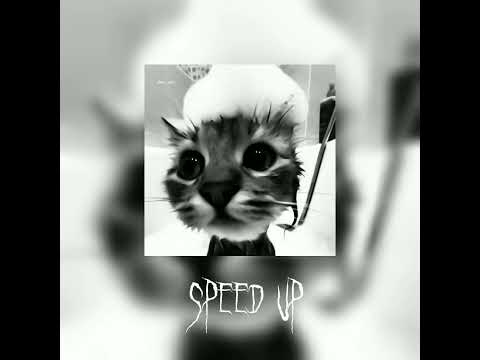 Видео: рандом треки||speed up