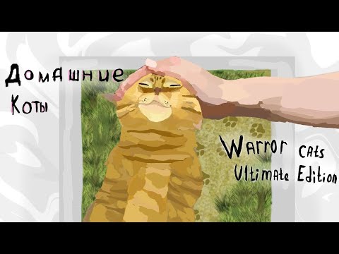 Видео: Домашние коты`в`Warrior Cats : Ultimate Edition