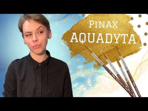 Видео: Кисти Pinax Aquadyta | ОБЗОР