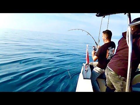 Видео: МОРСКАЯ РЫБАЛКА В ТУРЦИИ - АНТАЛИЯ - КЕМЕР