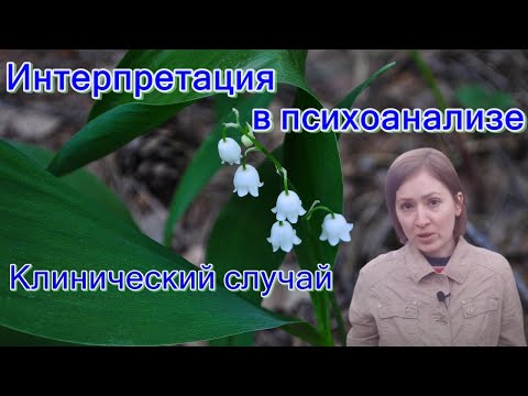 Видео: Интерпретация в психоанализе. Клинический случай Ф. Неро
