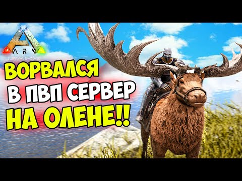 Видео: ARK -  БЫСТРЫЙ СТАРТ на ПВП АПОКАЛИПСИС в СОЛО! ЛУЧШАЯ ЖИВКА в ПВП - ОЛЕНЬ! Батя Леголаса #1