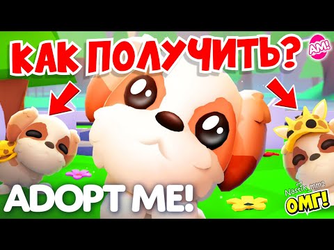 Видео: КАК ПОЛУЧИТЬ НОВОГО ПИТОМЦА В АДОПТ МИ!😱 НОВАЯ ДОСКА ЗАДАЧ В АДОПТ МИ!😍 НОВОЕ ОБНОВЛЕНИЕ!👀 ADOPT ME