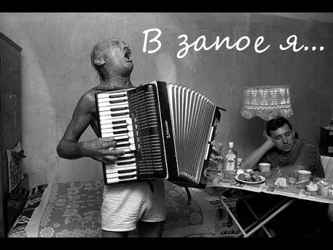 Видео: Шандриков В  В запое я который уже день