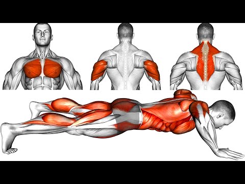 Видео: Лучшие вариации отжиманий для эффективного роста мышц