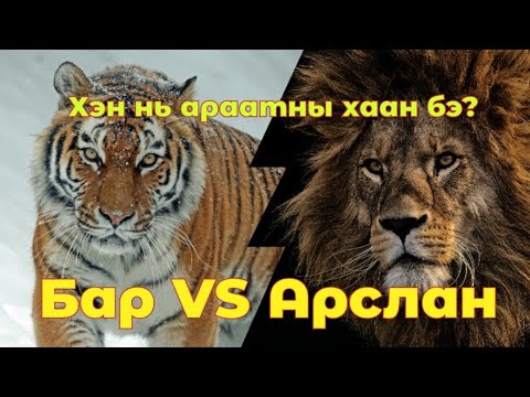 Видео: Арслан Бар хоёрын гал гарч цус асгарсан тулаан. Гоё түүхүүд цувралаас Goe tuuhuud mongol heleer kino