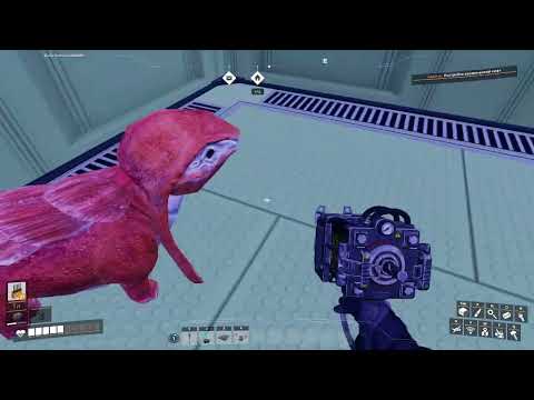 Видео: Дикая погоня в игре Satisfactory