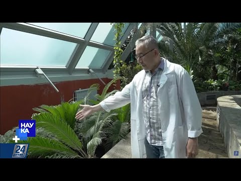 Видео: Охрана краснокнижных растений Казахстана | Наука