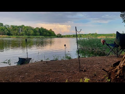 Видео: З технопланктоном "Lucky" за товстолобиком. Риболовля на гумку.