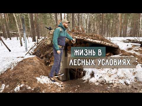 Видео: ОДНА НОЧЬ в ЗЕМЛЯНКЕ |ЖИЗНЬ в ГАРМОНИИ С ПРИРОДОЙ