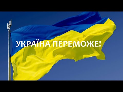 Видео: Опёнок зимний vs Галерина окаймлённая. Как отличить?