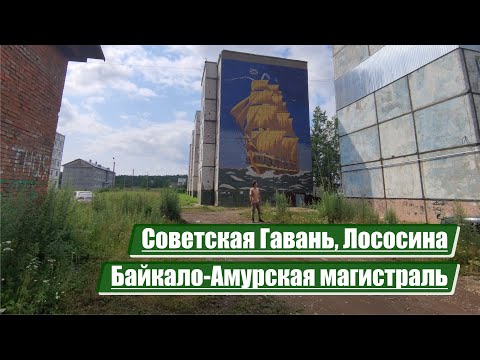 Видео: Советская Гавань, Лососина | Байкало-Амурская магистраль (БАМ)