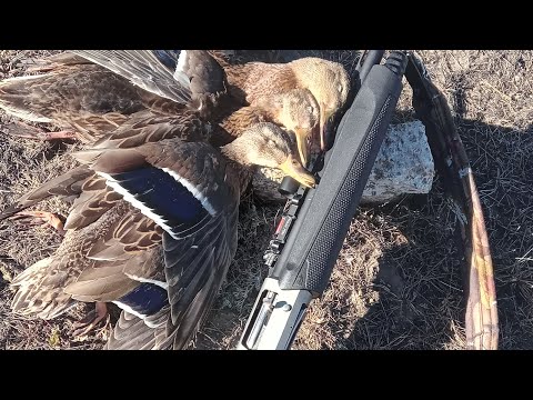 Видео: Ветер сыграл важную роль.