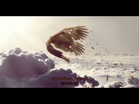 Видео: Лампабикт - Крылья (speed up)