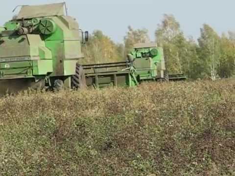 Видео: Комбайны Deutz Fahr 4065, 4075, 4080.Уборка клевера на семена.