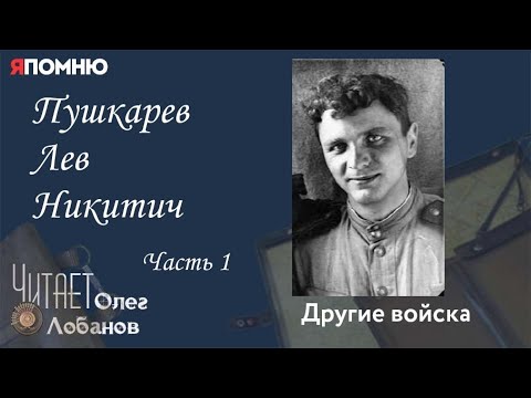 Видео: Пушкарев Лев Никитич Часть 1.Проект "Я помню" Артема Драбкина. Другие войска.