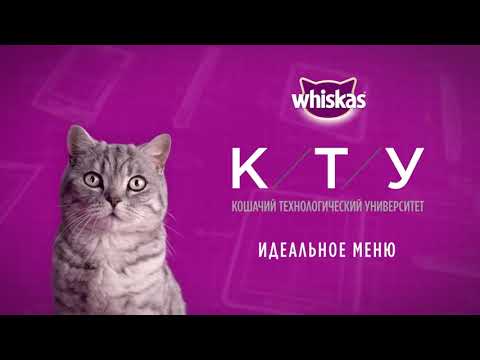 Видео: WHISKAS®  К.Т.У. Все части