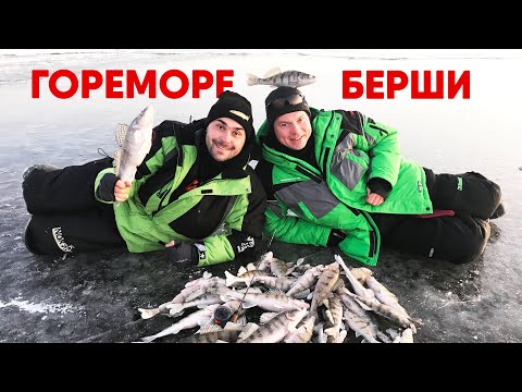 Видео: КАК ЛОВИТЬ БЕРША ЗИМОЙ? Приехали учиться и разбираться на Горе море! (РАЗОБРАЛИСЬ! ШИКАРНАЯ РЫБАЛКА)
