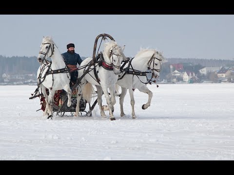 Видео: Русская тройка