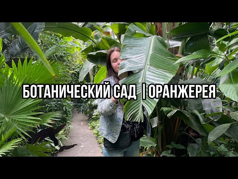 Видео: Самарский Ботанический сад | Оранжерея