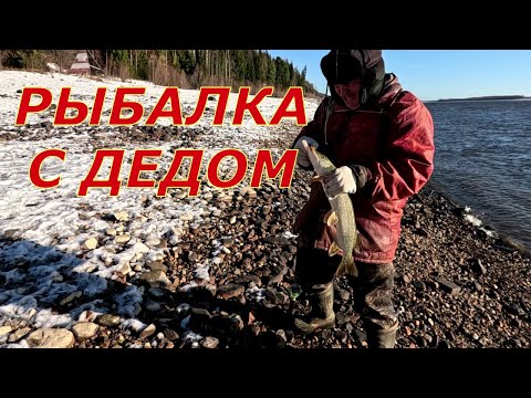 Видео: C дедом надёргали щук на жарёху, рыбалка на Оби ,сезон закрыт  ждём лёд.