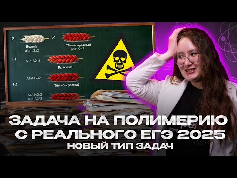 Видео: Генетика Биология ЕГЭ задание 28: задача на полимерию