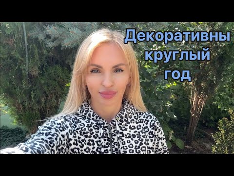 Видео: ВЕЧНОЗЕЛЁНЫЕ лиственные растения моего сада. 
