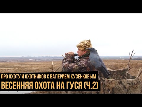 Видео: Весенняя охота на гуся ч.2 / Про охоту и охотников с Валерием Кузенковым. Сезон 1.