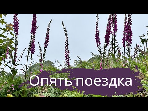 Видео: Англия. Ищем дом на юге