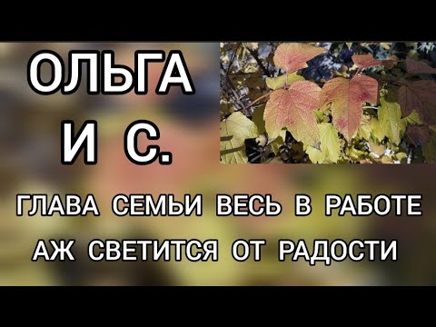 Видео: Обзор⁉️ Ольга и семья // Глава семьи весь в работе‼️ Аж светится от счастья‼️ 