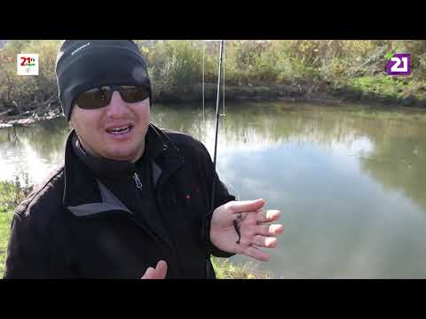 Видео: Карпатське рибалля / Ловля окуня на джиг-спінінг в селі Квасово на річці Боржава