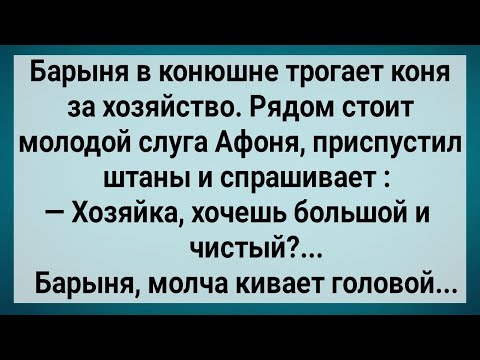 Видео: Как Слуга с Барыней Возлег! Сборник Свежих Анекдотов! Юмор!.