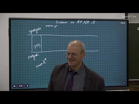 Видео: Гладилин А.К. - Биохимия - 6. Q-цикл. Челночные системы