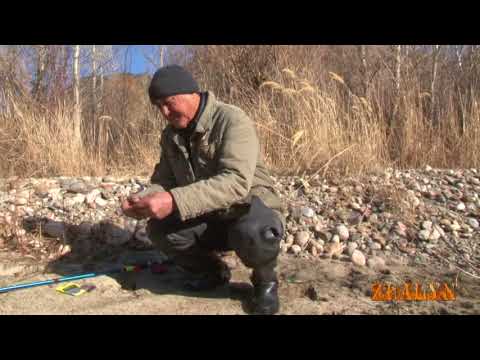 Видео: Вот это улов!!! Золотой Осман   осень 2017г