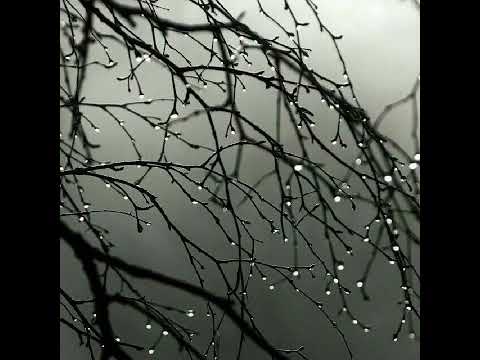 Видео: Ирина Скорик. ЧИСТОТА.