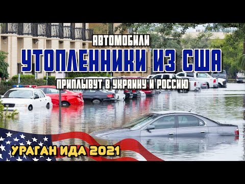 Видео: Утопленники после урагана Ида, ВСЁ что вам нужно знать!!! Авто из США