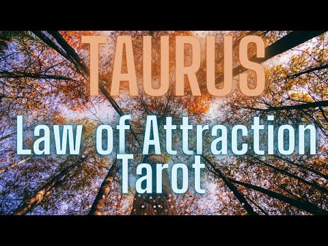 Видео: Таро Тельца~Гадания на деньги и любовь~Октябрь 2025💰❤️💰❤️