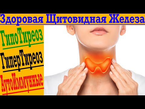 Видео: Здоровая Щитовидка! ГипоТиреоз, ГиперТиреоз, АутоИммунные!
