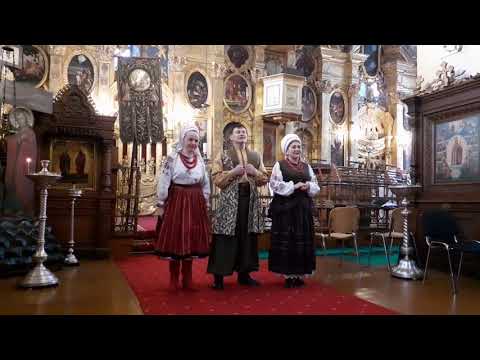 Видео: "В саду осіннім айстри білі"
