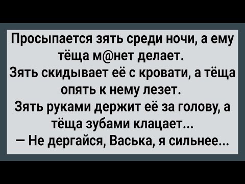 Видео: Как Теща Ночью Зятя Покусала! Сборник Свежих Анекдотов! Юмор!