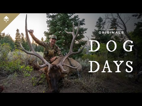 Видео: DOG DAYS — Мечта охотника на лосей