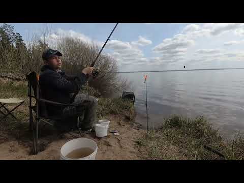 Видео: ТАКОГО НИКТО НЕ ОЖИДАЛ! СКОЛЬКО ЗДЕСЬ РЫБЫ!? Рыбалка на Сурском Водохранилище в конце апреле!