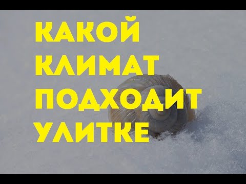 Видео: Какой климат подходит улитке  | Royal Snail | Xellix Aspersa Muller | Бизнес в селе | улитки |