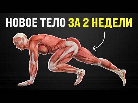 Видео: Всего 5 упражнений — и твоё тело не будет прежним!